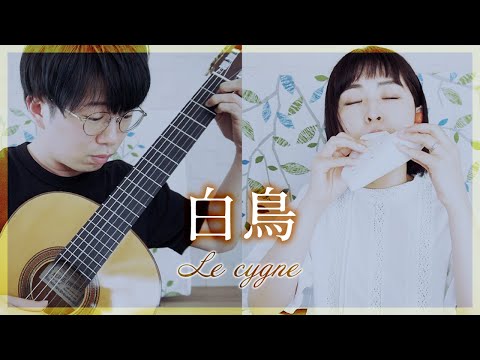 【演奏と解説】19.白鳥 -C.サン=サーンス【オカリナとギター】