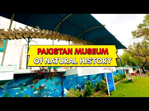 Pakistan Museum Of Natural History Islamabad