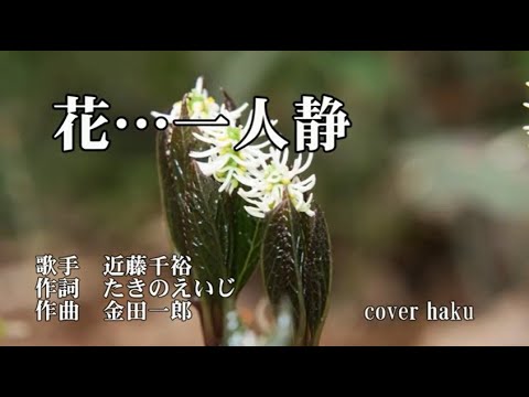 花…一人静　近藤千裕　歌唱　haku