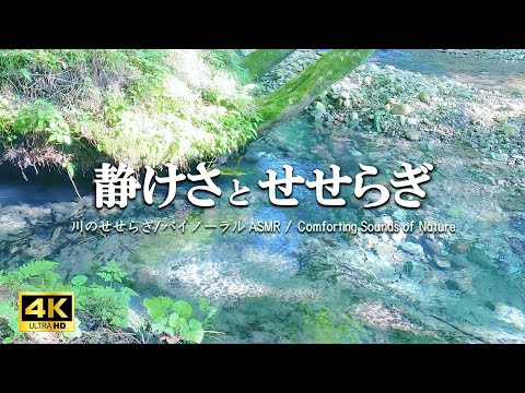 静けさとせせらぎ 湧水の流れる川：睡眠前のリラクゼーション　自立神経を整える【自然音,ASMR,立体音響,4K,relaxing  nature sounds】