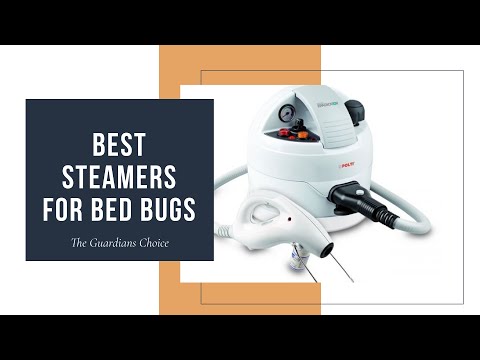 10 Best Steamers For Bed Bugs You can Buy Right Now | The Guardians Choice