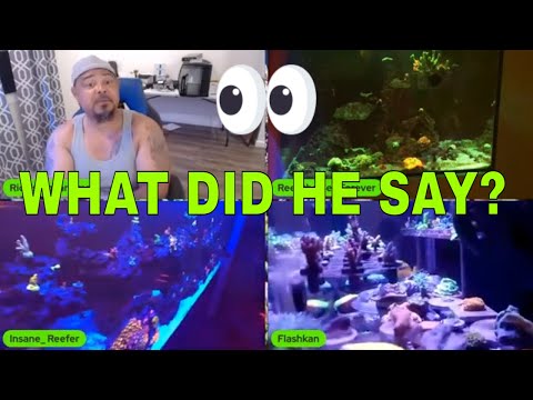 Let's get down to Aquarium Talk