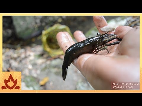 Primitive Technology: Freshwater Prawn Trap