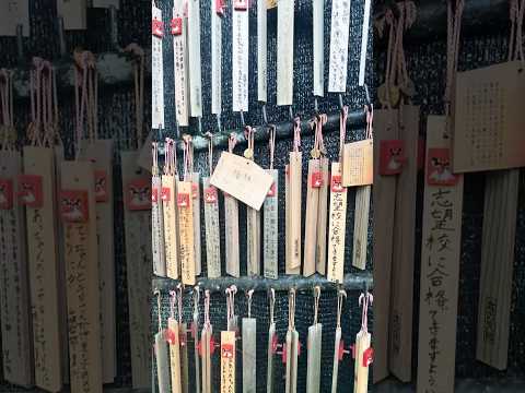 Interesting things in Japan/part 23/they believe in wishes #wish #japan #travel #life