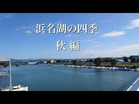 浜名湖の四季　秋編