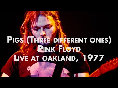 Pink Floyd - Pigs (Three Different Ones) - Live at Oakland