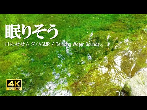 眠りそうになる水の音 苔が広がる水源:睡眠、リラクゼーションにご活用下さい【自然音,4K,relaxing  nature sounds】