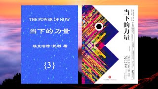 【有聲書】當下的力量(3)(有字幕){本書共3集}