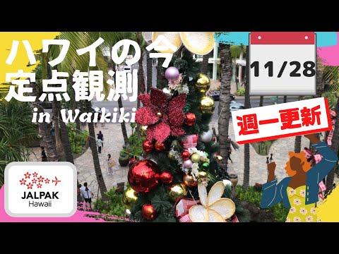 【ハワイの今】ワイキキ定点観測  2023年11月28日