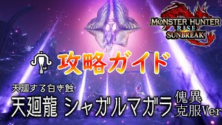 【MHR:SB】傀異克服シャガルマガラ攻略ガイド【モンハンライズ】【サンブレイク】【ライトボウガン】