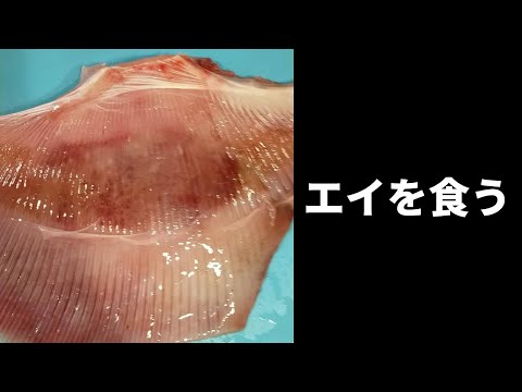 【おうちごはん】エイ（かすべ）を食べてみた