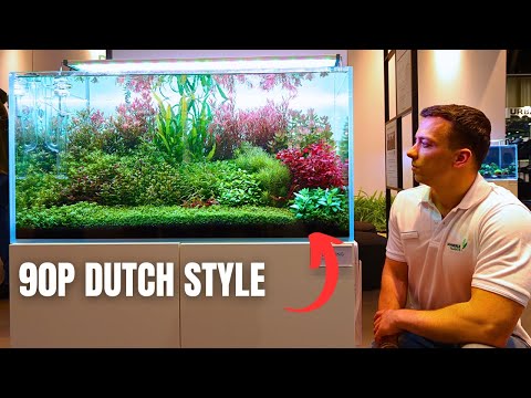 HOW WE MADE 6 BEAUTIFUL AQUASCAPES FOR INTERZOO 2024