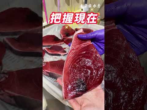 黑鮪魚這個時間吃最好吃！黑鮪魚季即將結束，趕快把握！