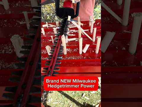 NEW Milwaukee HEDGETRIMMERS - can yours do this? #milwaukeetools #newtools #batterypoweredtools