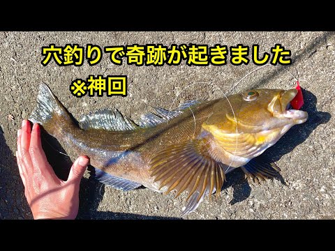 【このテトラ、やべえ】穴釣り史上最大のアイツ。いわき釣り。