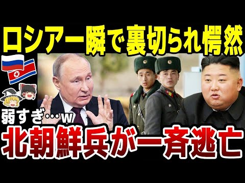 【ゆっくり解説】ロシア一瞬で裏切られる！ｗ北朝鮮兵18名がクルスク前線から一斉逃亡…弱すぎて話にならず。