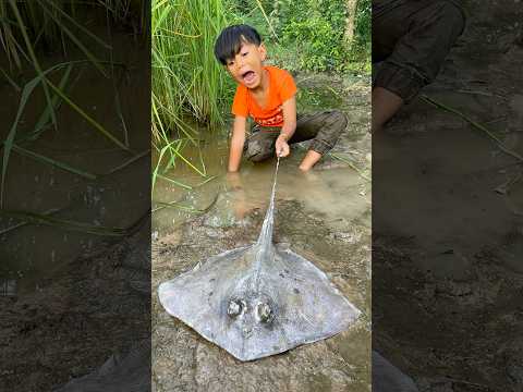 Survival Skills: SIMPLE and USEFUL with stingray fish #bushcraft #camping #outdoor