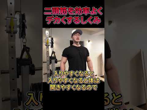 【レモンチャネル 】一撃でデカくなる二頭筋トレーニングの効き目がヤバすぎた…。【切り抜き レモンチャンネル】