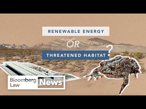 Dixie Valley Toads or a Geothermal Plant? An Environmental Law Fight Over Renewable Energy in Nevada