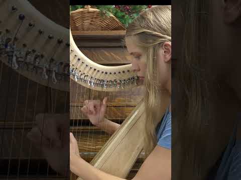 Planxty Irwin: Celtic Harp #shorts #harp #celticharp #irishmusic #irishtune