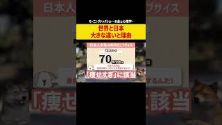 世界と日本の平均カップ数、違いとその理由