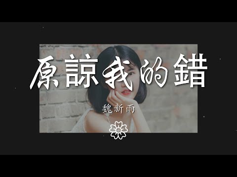 魏新雨 - 原諒我的錯『沒有你的日子 幸福太寂寞』【動態歌詞Lyrics】