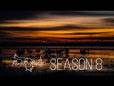 Waterfowl Hunting 2019: Fowled Reality Sizzle Reel