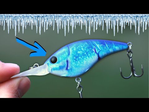 Best WINTER Lure Of All Time?!?!