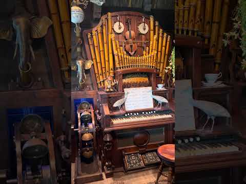 Whimsical player piano at the Swiss Family Treehouse in Disneyland! #disneyland #disney