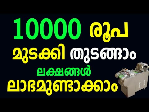 10000 രൂപയ്ക്ക് ആരംഭിച്ച് ലക്ഷങ്ങൾ ലാഭമുണ്ടാക്കാവുന്ന ബിസിനസ്സ് | Dehydrate Vegetables Business