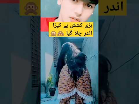 بڑی کشش ہے کپڑا اندر چلا گیا 🙊😂#youtubeshorts #viral #trending #funny #entertainment #shorts #yt