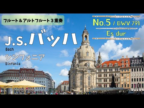 【フルート＆アルトフルート３重奏】J.S.バッハ「シンフォニア」第５番　J.S.Bach / Sinfonia  No.5  Es-dur  BWV791