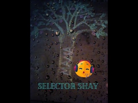 SELECTOR SHAY ve mahi