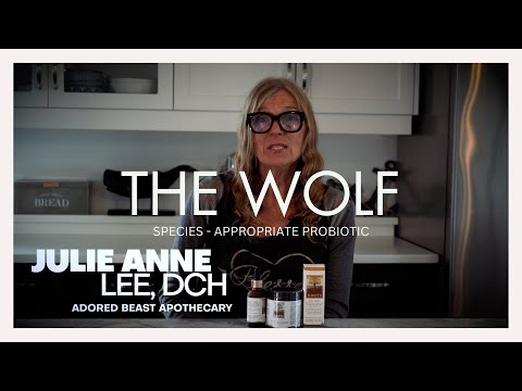 Roots - The Wolf | Species Appropriate Probiotic