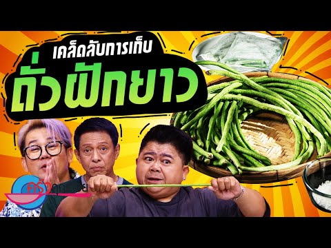 เคล็ดลับการเก็บ "ถั่วฝักยาว" (1/2) 14 ต.ค. 67 ครัวคุณต๋อย