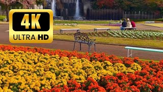 Kawaguchi City Green Center #4kvideo #tokyonightview #japan