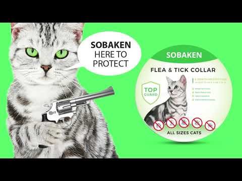 SOBAKEN Natural Flea and Tick Collar for Cats