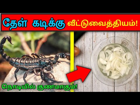 தேள் கடிக்கு இலகுவான வீட்டுவைத்தியம்! | Home remedy for scorpion bite | STAR LABORATORY