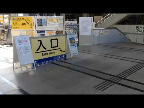 大阪市立科学館ご入館の流れ