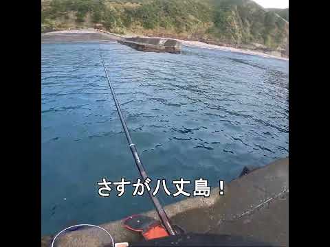 【堤防で規格外がヒット！！】釣りが代＃22　#shorts