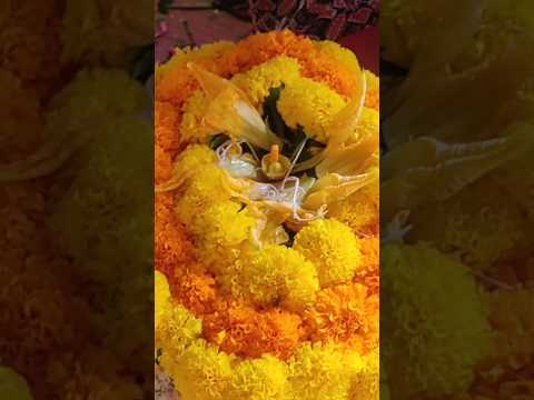 సద్దుల బతుకమ్మ శుభాకాంక్షలు  #bathukamma  #saddulabathukamma #shorts #trending #youtubeshorts