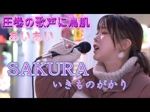 あいあい『SAKURA／いきものがかり』心打つ歌声に感動、鳥肌が