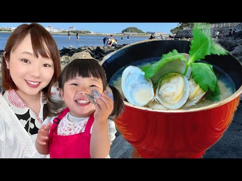 Gathering clams　潮干狩り｜Catch & Cook :Clams in Japan  |　Miso Soup | あさりの味噌汁   #Japanesefood