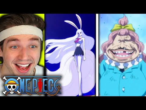 CARROT'S TRANSFORMATION... (one piece reaction)