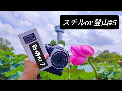 35mmでドヤりたいけど、どうしても望遠レンズを使い、下手な写真を量産する日々。でも望遠レンズってボケやすいから面白い。行田蓮の里に写真を撮りに行く。スチルor登山＃5