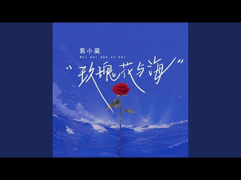 玫瑰花与海