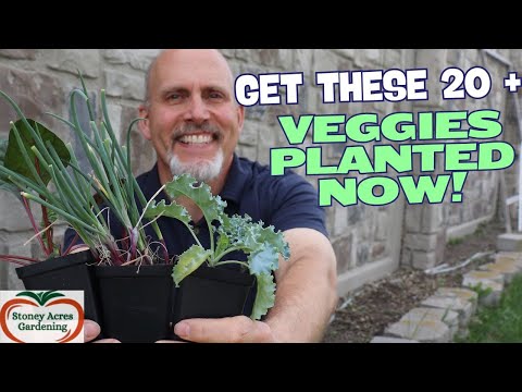 You Need to Plant These Veggies in April