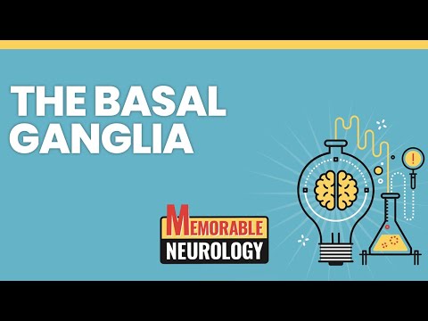 Basal Ganglia Mnemonics (Memorable Neurology Lecture 4)