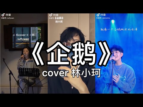 【抖音】林小珂 - 企鹅  cover 翻唱【就像一只企鹅跳进北冰洋，爱得其所是无止尽的奢望。】