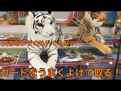 【UFOキャッチャー 攻略】リアル で 大きな トラ の ぬいぐるみ を ガードをうまくよけて 取ってみた！